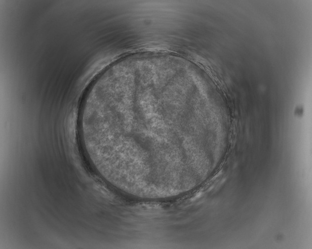 X0000116790194201001081320