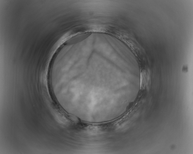 X0000116790195201001081320