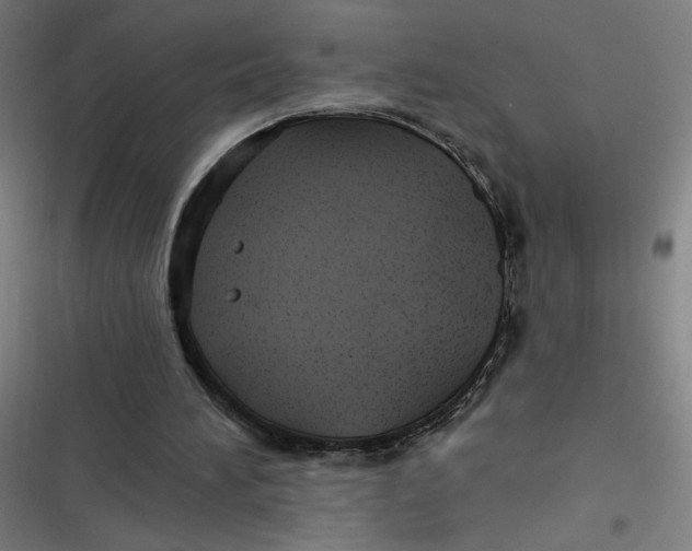 X0000116790196201001081320