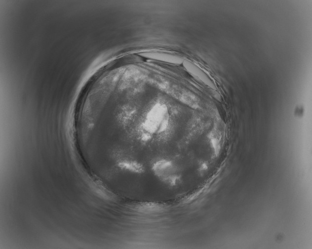 X0000116790198201001081320