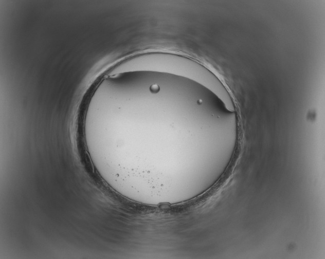 X0000116790199201001081320