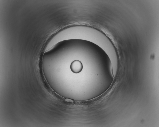 X0000116790201201001081320