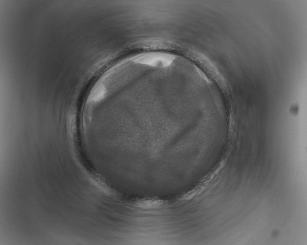 X0000116790202201001081320