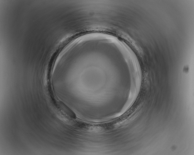 X0000116790203201001081320