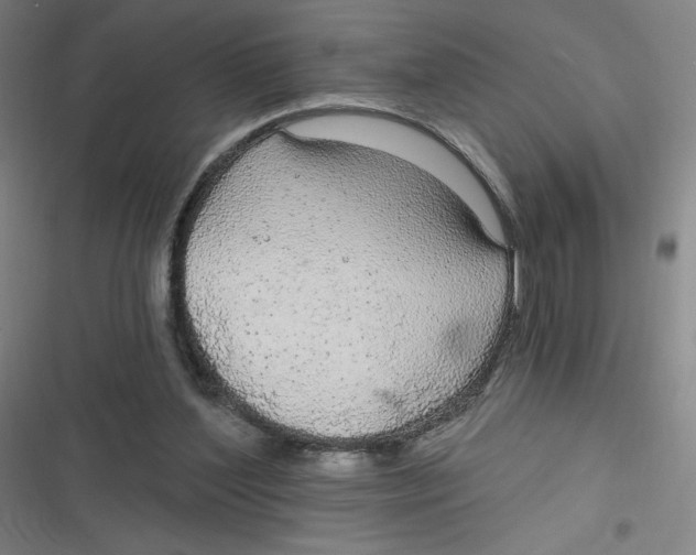 X0000116790204201001081320