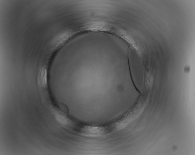 X0000116790205201001081320