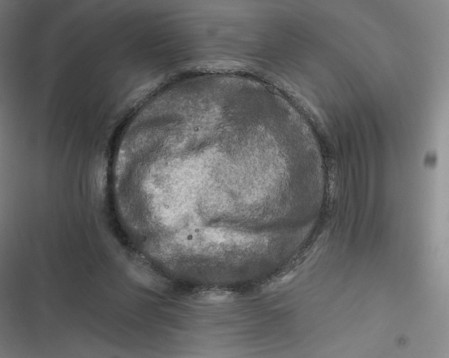 X0000116790206201001081320