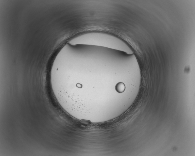 X0000116790207201001081320