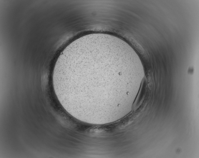 X0000116790208201001081320