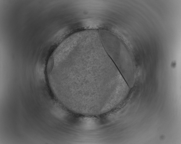 X0000116790209201001081320