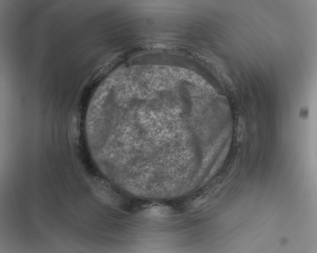 X0000116790210201001081320