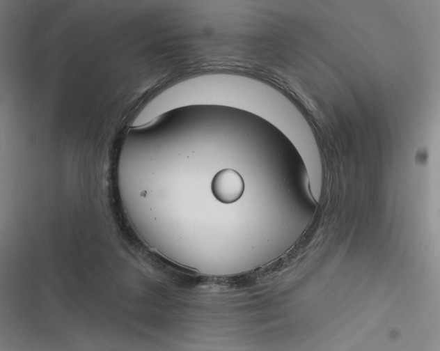 X0000116790211201001081320