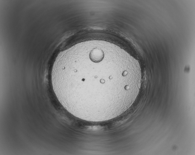 X0000116790212201001081320