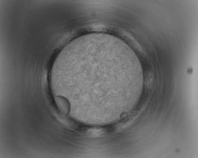 X0000116790213201001081320