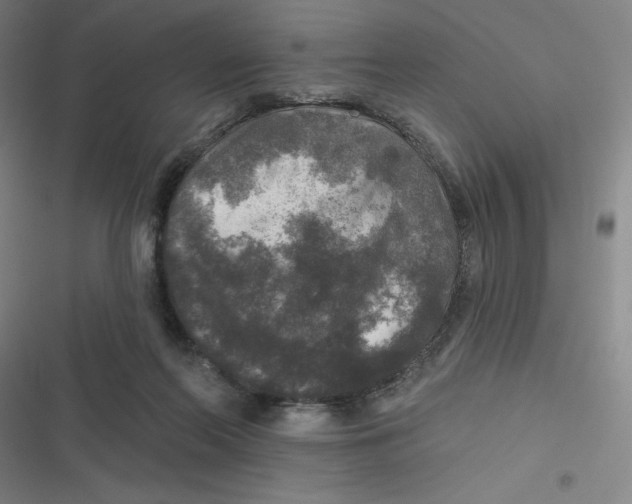 X0000116790214201001081320