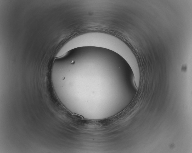 X0000116790215201001081320