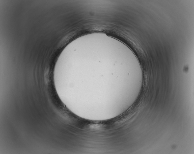 X0000116790216201001081320