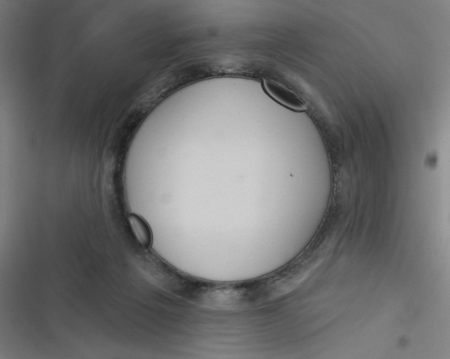 X0000116790217201001081320