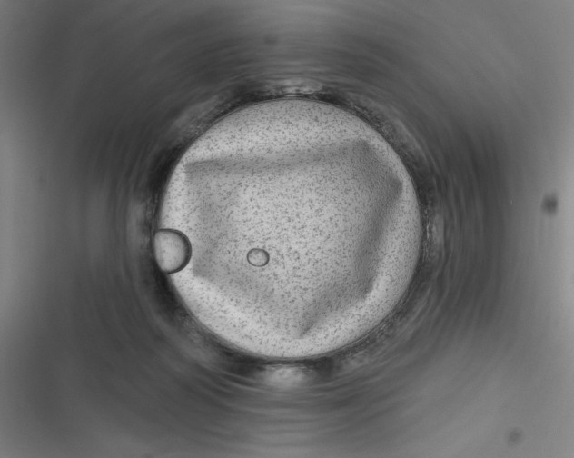 X0000116790218201001081320