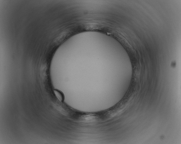 X0000116790219201001081320