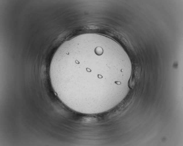 X0000116790220201001081320