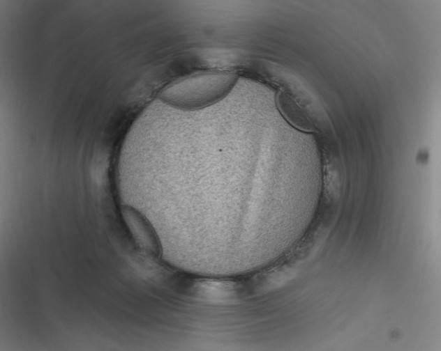 X0000116790221201001081320