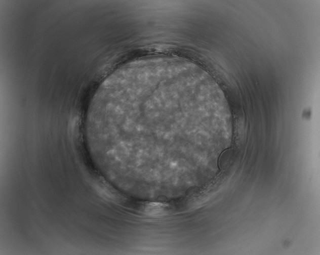 X0000116790222201001081320