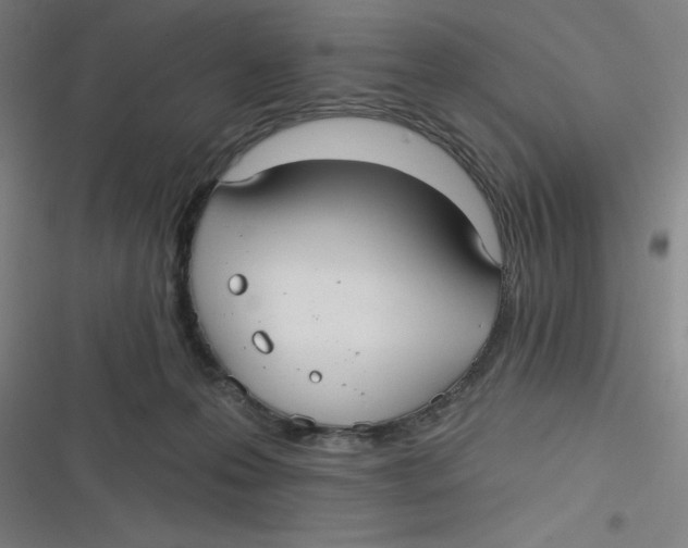 X0000116790223201001081320