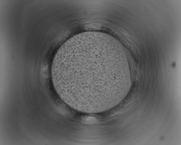 X0000116790224201001081320