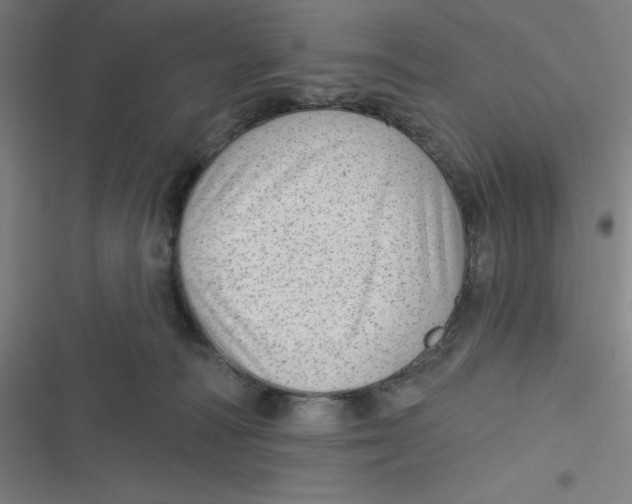 X0000116790226201001081320