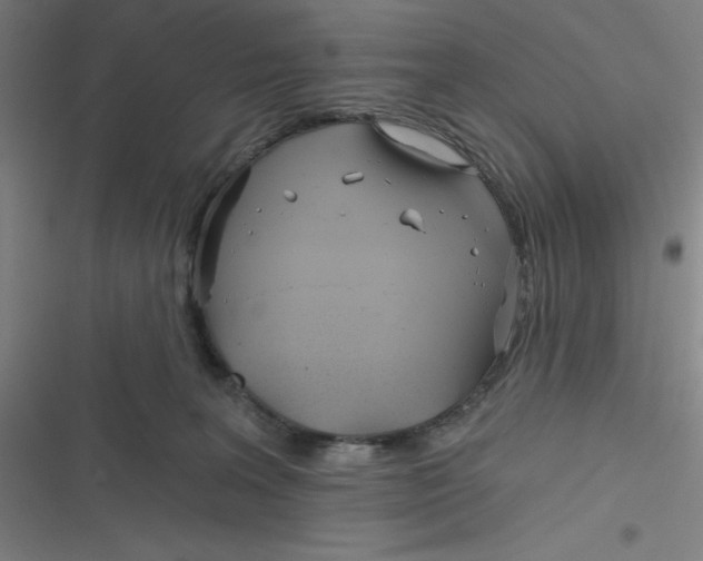 X0000116790227201001081320