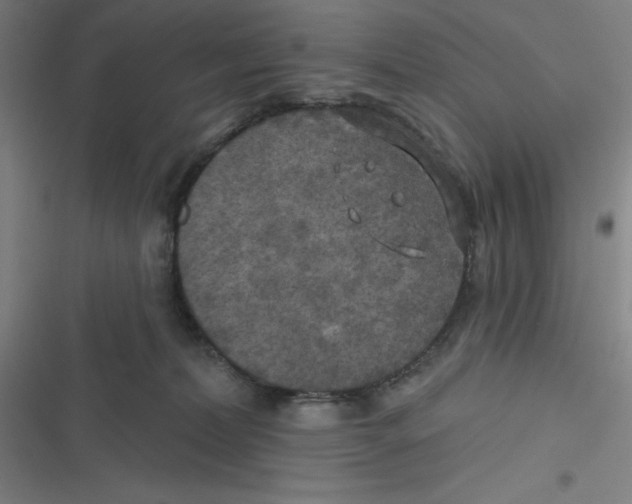 X0000116790228201001081320