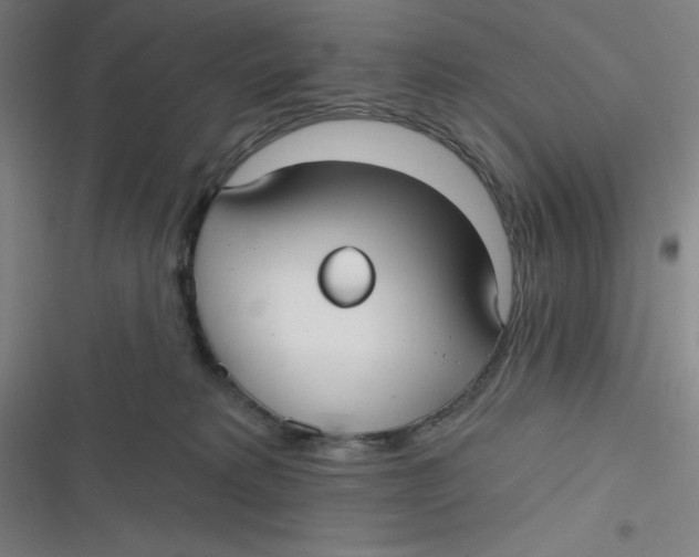 X0000116790229201001081320