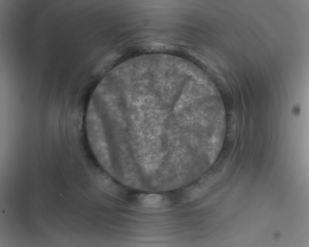 X0000116790230201001081320