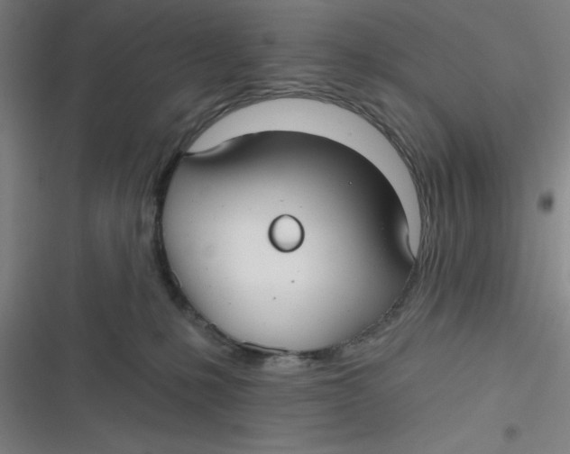 X0000116790231201001081320