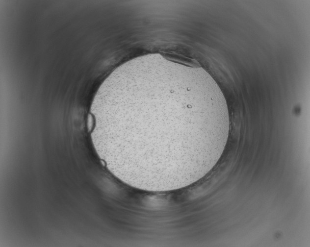 X0000116790232201001081320