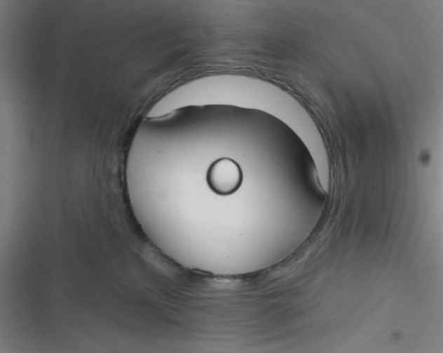 X0000116790233201001081320