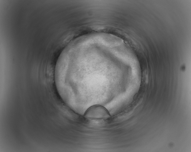 X0000116790234201001081320