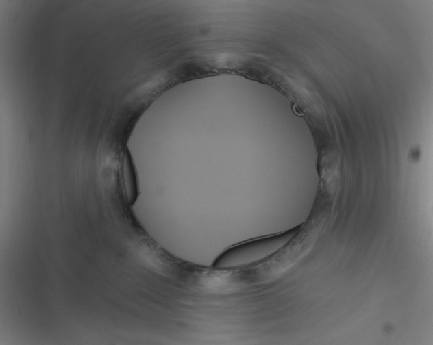 X0000116790235201001081320