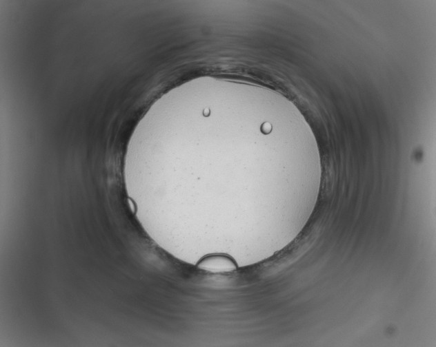 X0000116790236201001081320