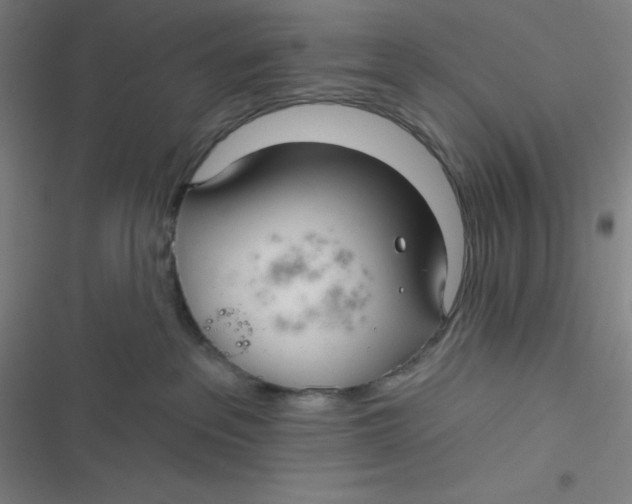 X0000116790237201001081320