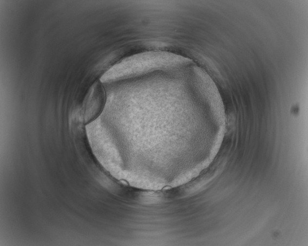 X0000116790238201001081320