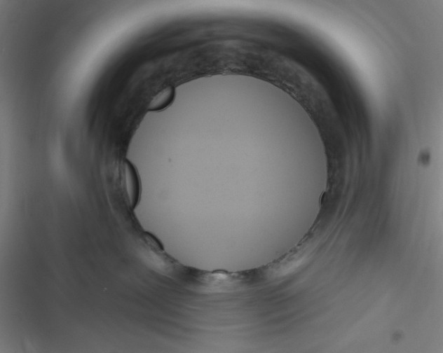 X0000116790239201001081320