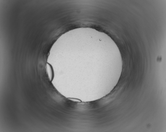 X0000116790240201001081320