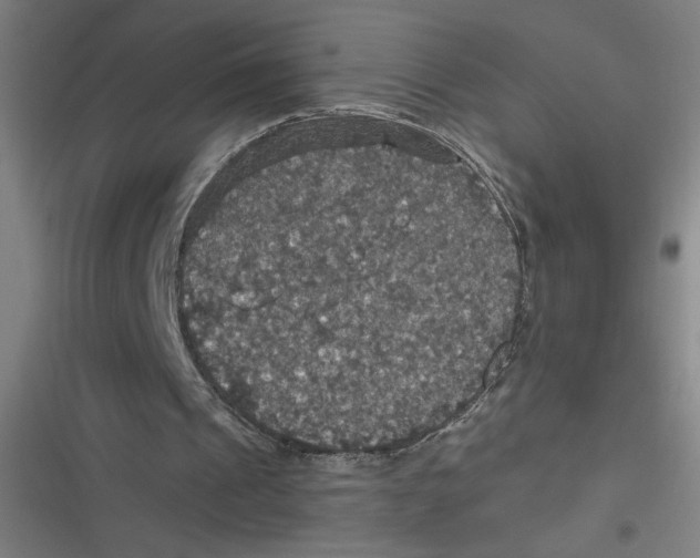 X0000116790241201001081319