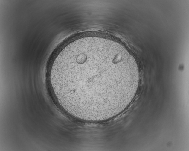 X0000116790242201001081319