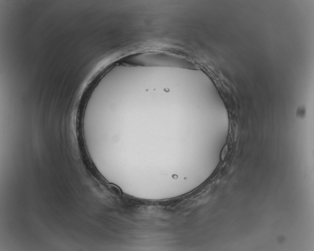 X0000116790244201001081319