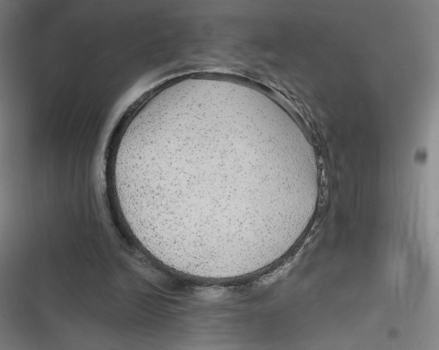 X0000116790246201001081319