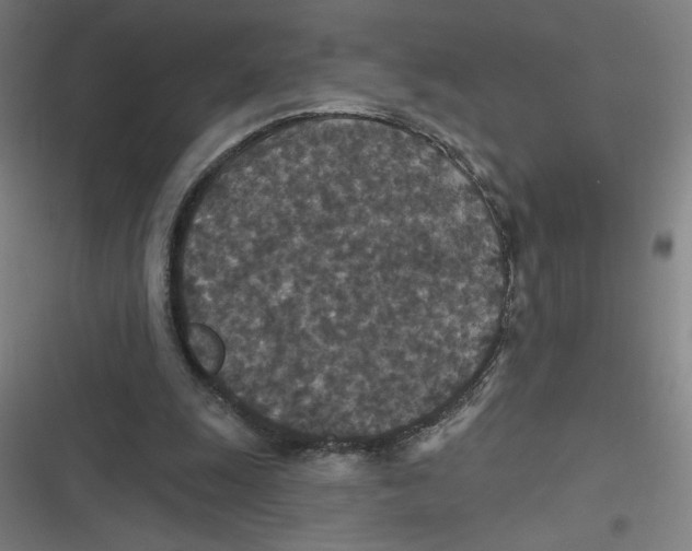 X0000116790247201001081319