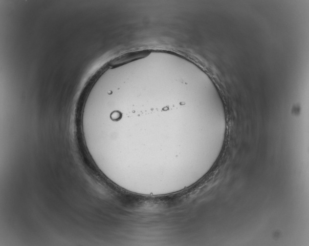 X0000116790248201001081319